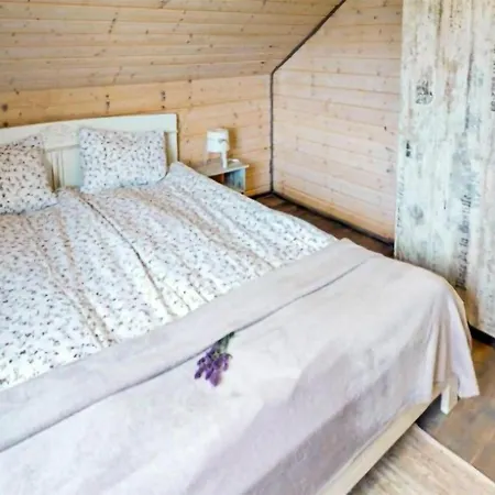 Amazing In With Heated Swimming Pool Hébergement de vacances Karwia